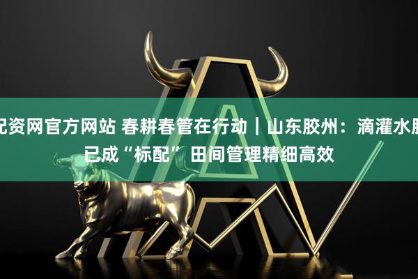 配资网官方网站 春耕春管在行动｜山东胶州：滴灌水肥已成“标配” 田间管理精细高效